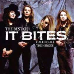 It Bites : The Best of It Bites - Calling all the Heroes